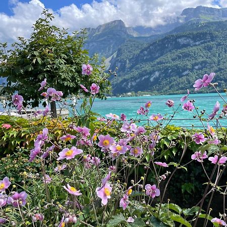 Chalet Romantica Carpe Diem Best View Best Location Brienz  Dış mekan fotoğraf